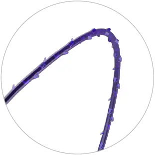 Close-up of 360-degree barbs along the length of QUBIX™ – PDX absorbable suture for superior fixation.